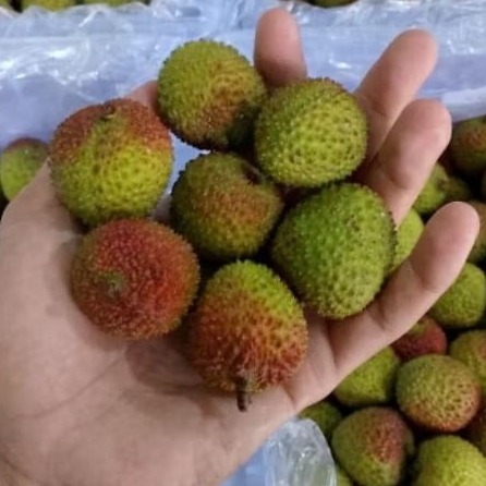 

Buah Lyche madu Jual Per 1 BOK Krat
