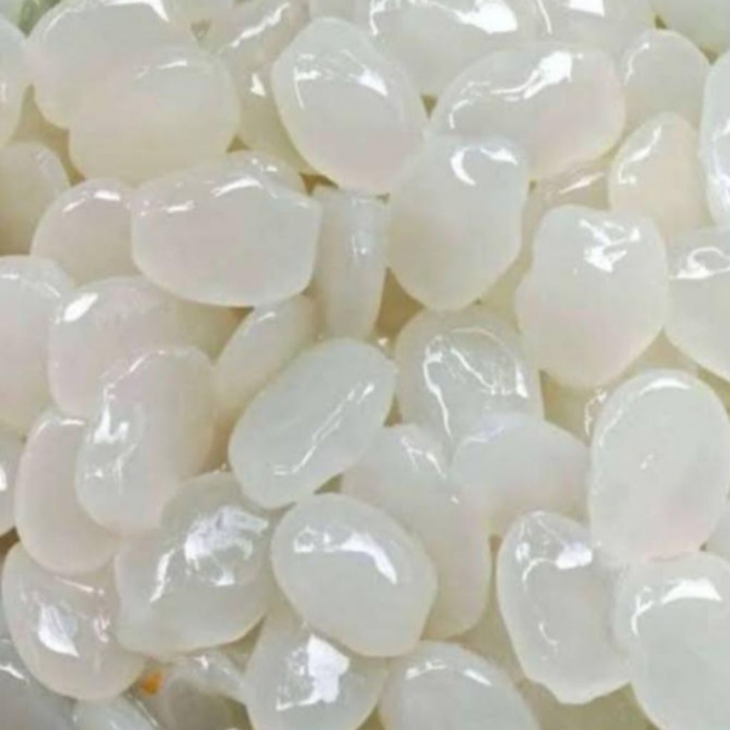

TERLARIS BUAH KOLANG KALING MENTAH SEGAR 1kg