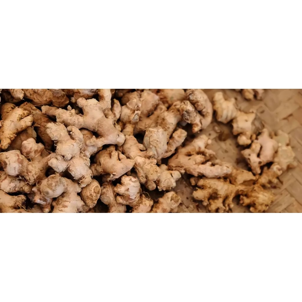 

Jahe Kesehatan Bumbu Dapur ¼ kg