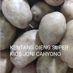 

KENTANG DIENG UKURAN SEDANG 500 GRAM