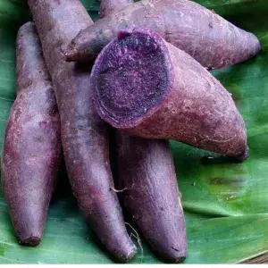

UBI BOLED UNGU 500gram