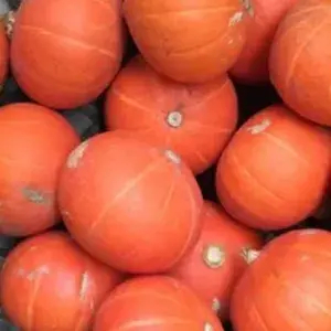 

KABOCHA / LABU JEPANG KUNING KECIL