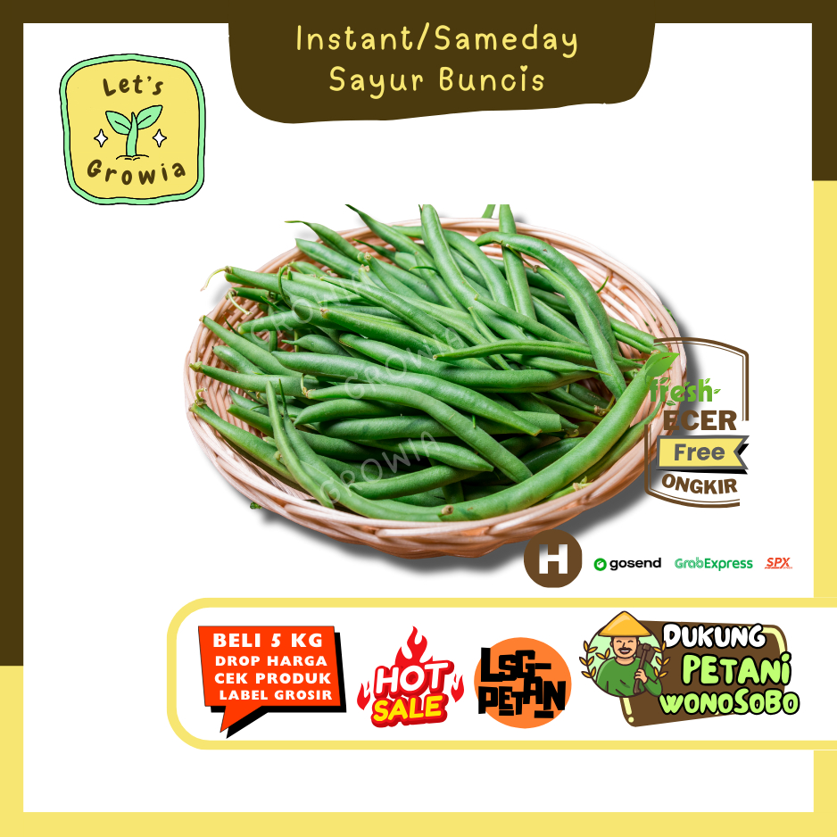 

Growia || Sayur Buncis -- Hasil Petani Sindoro Sumbing (H)