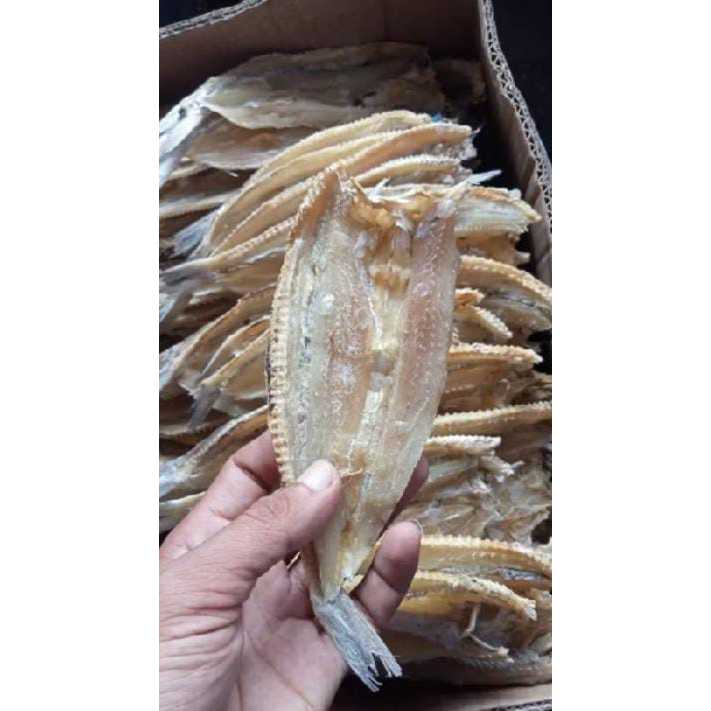 

ikan asin boloso/gabus laut TERMURAH/COD bayar di tempat