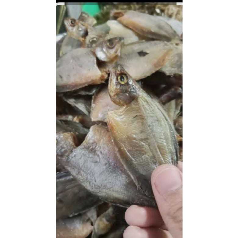 

ikan asin sepat kecil/barik super/TERMURAH/COD bayar di tempat