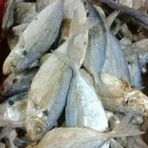 

IKAN ASIN SELAR 100gram