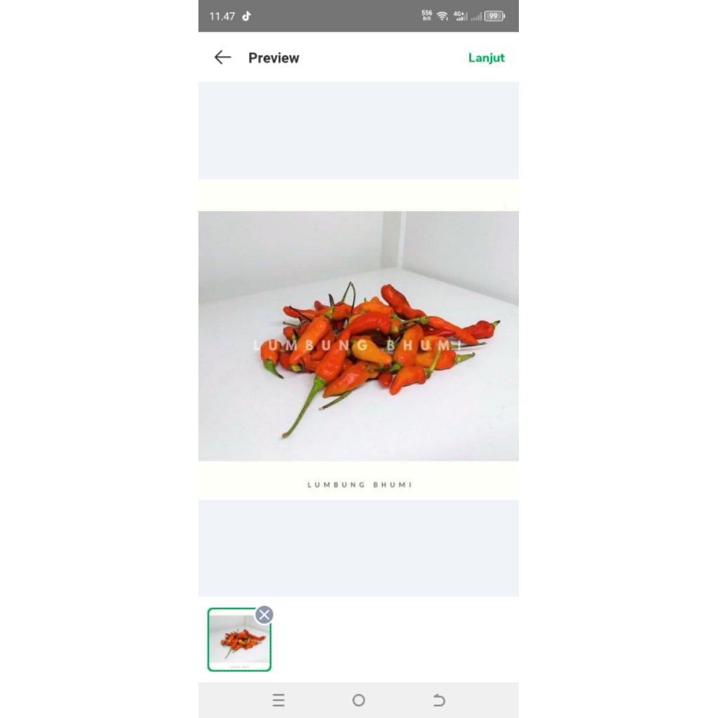 

cabe rawit merah 100 gram