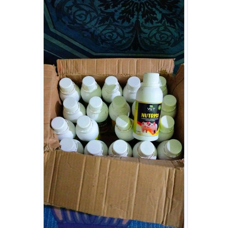 VGT Nutrisi Babi