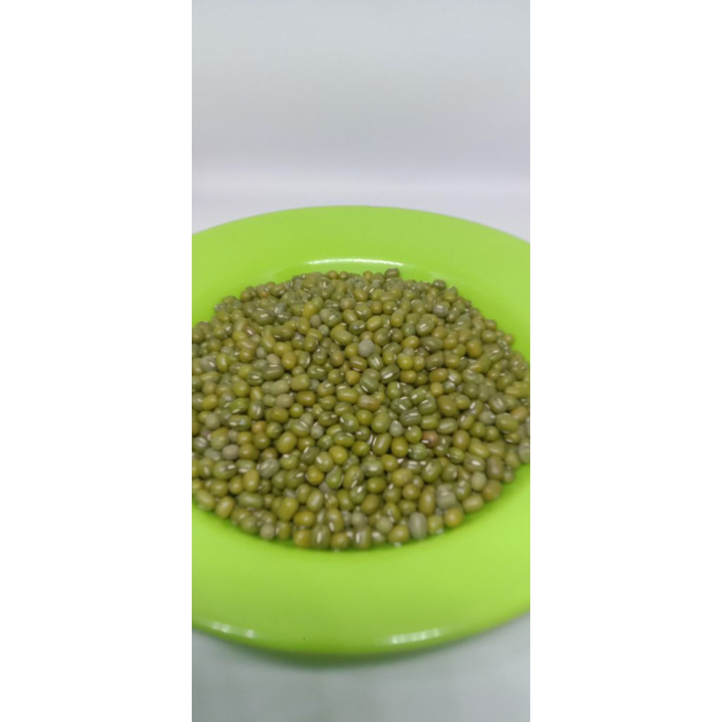 

Kacang Hijau Yulek Birma