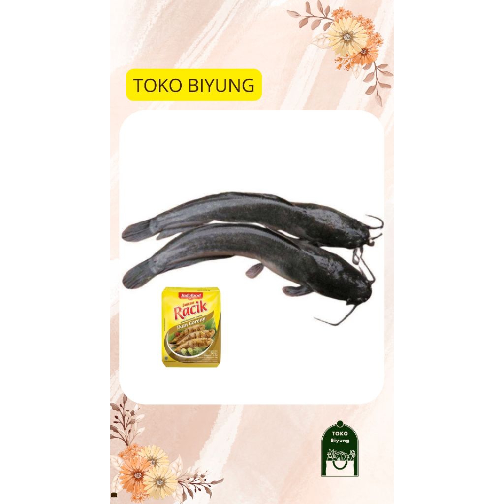 

IKAN LELE / LELE DAN BUMBU RACIK 500 GRAM / 1 KG