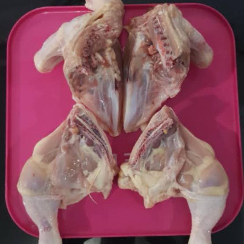 

ayam tg segar 1kg / ayam muda