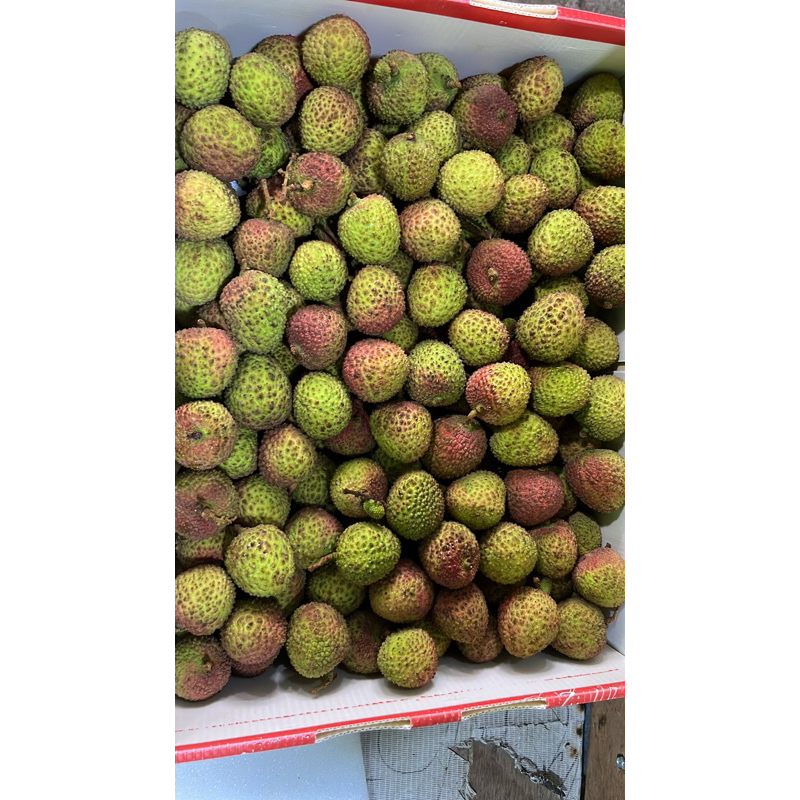 

buah leci 500gram