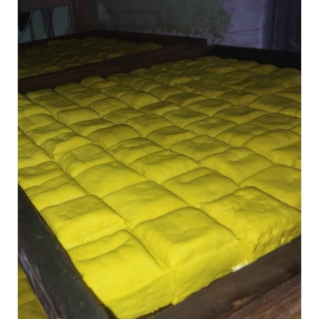 

tahu kuning produksi subuh isi 10