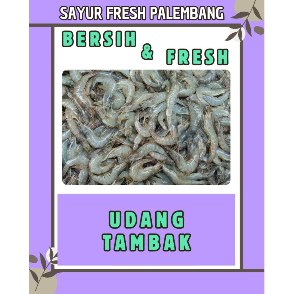 

UDANG TAMBAK FRESH - PALEMBANG