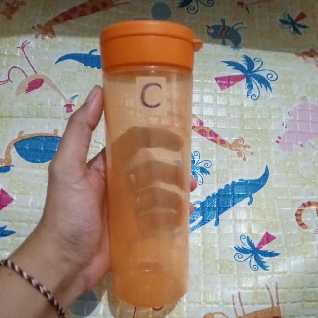 Preloved (C) Squeeze It  / Squeeze Me Tupperware tanpa karet silikon