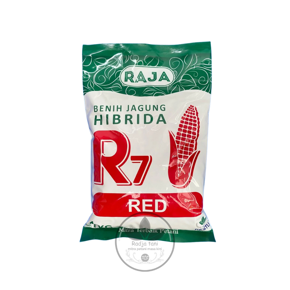 Benih - Benih jagung hibrida tahan bulai R7 RED ULTIMATE GOLD UNION isi 1kg dari RAJA (RAJA)