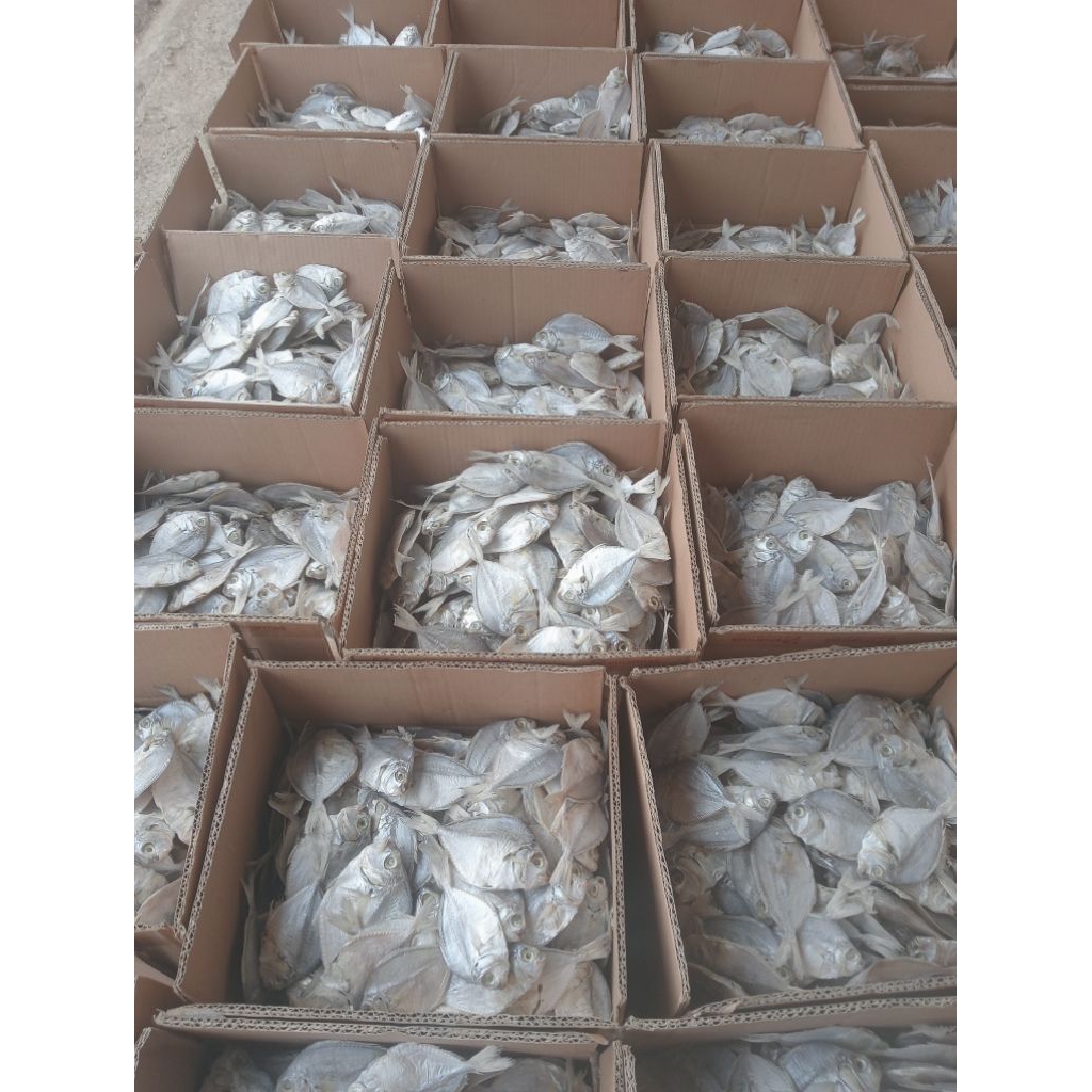 

ikan asin petek/pirik 500gr