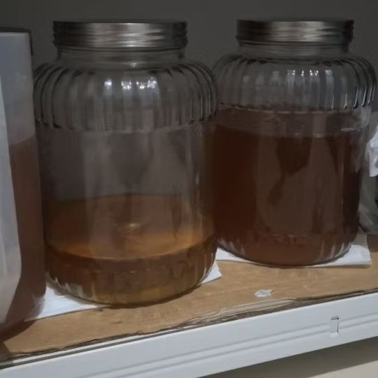 

Starter Kombucha Fermentasi Bulanan 300ml