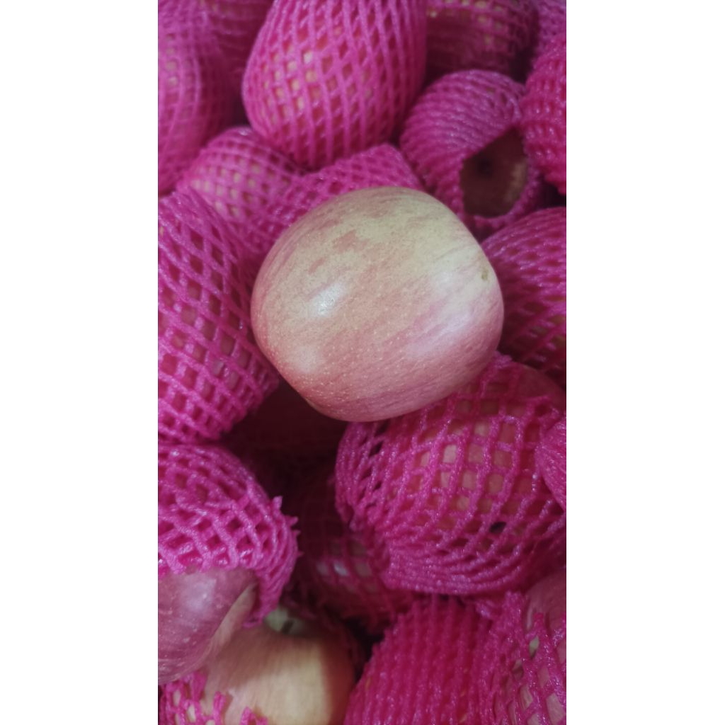 

Apel Merah 1KG