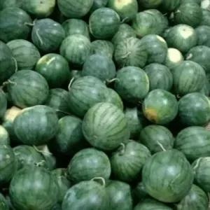 

kirim instan/sameday/buah Semangka merah fresh 3,8-4kg