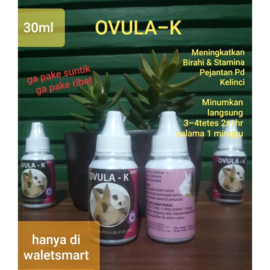 Ovula - K Drop 30ml Suplemen vitamin penyubur penambah birahi Kelinci