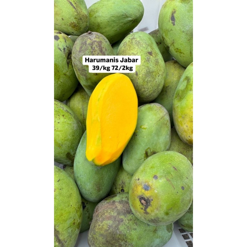 

Harumanis jabar