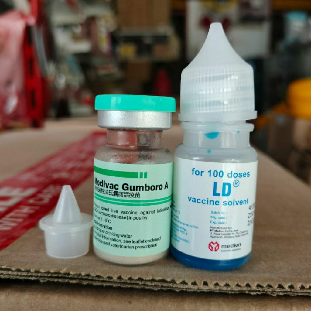 VAKSIN MEDIVAC GUMBORO A 100 ekor - penyakit
gumboro