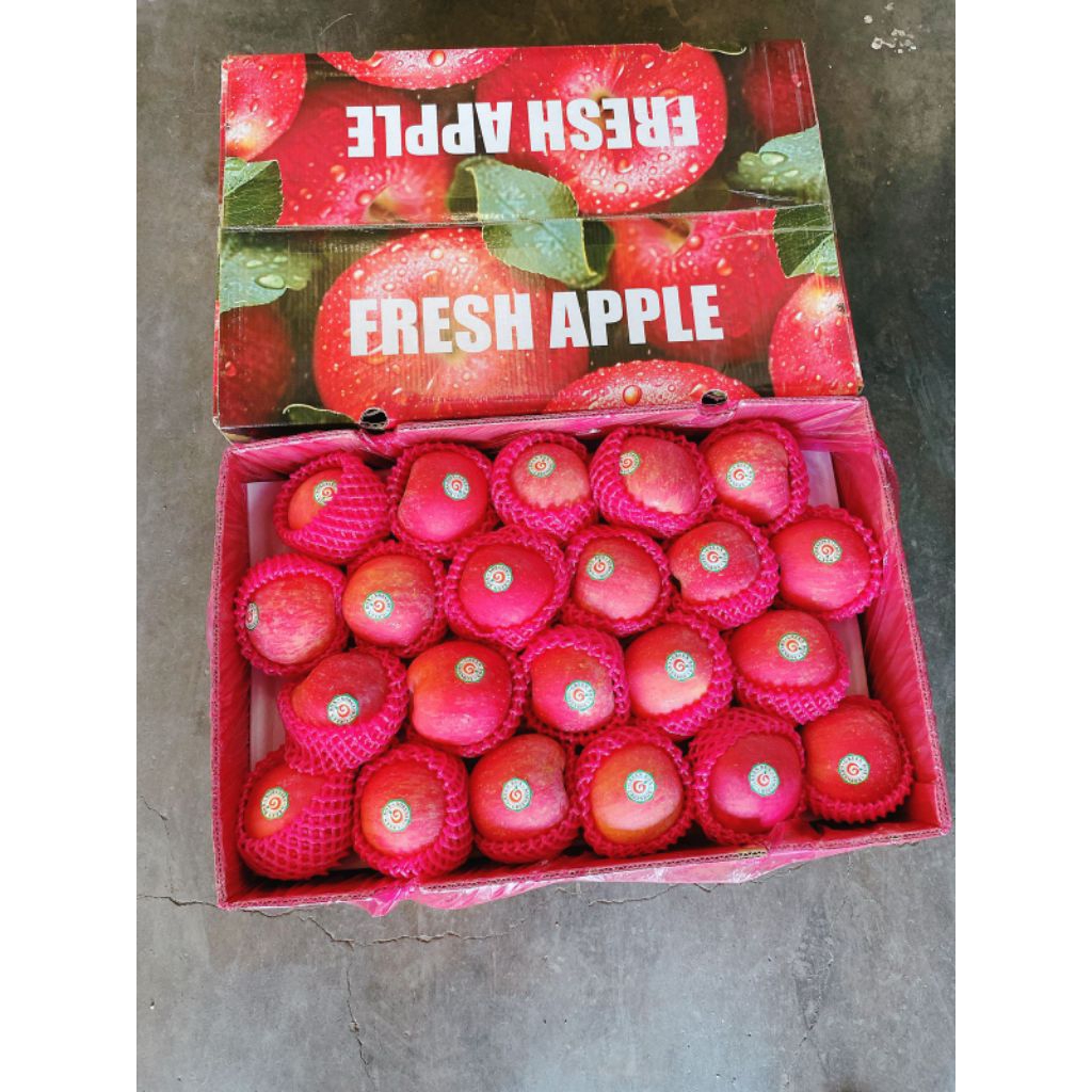 

Apel / Apple Fuji 88 Pcs / Karton