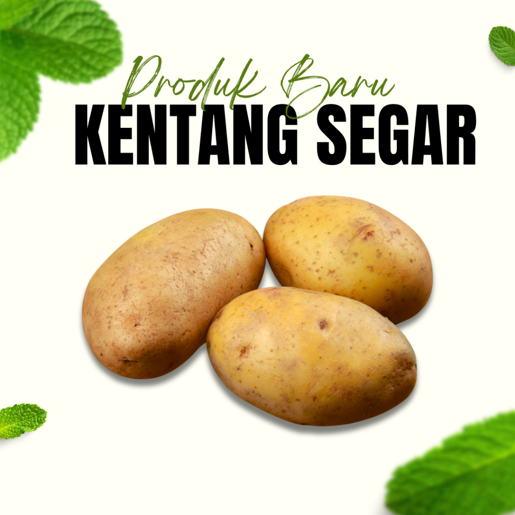 

Jual Kentang 100GRAM / Kentang Segar / Sayur / Tumis Kentang / Kentang Goreng / Masak Kentang