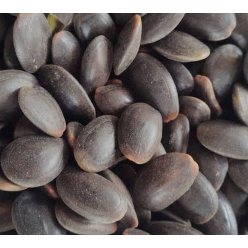 

biji Kedaung / biji Kedawung kering