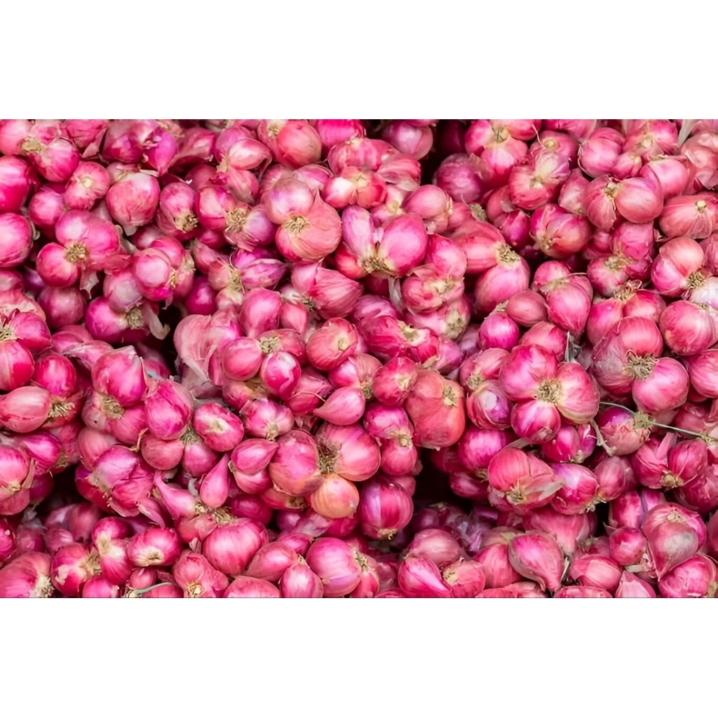 

BAWANG MERAH SUPER 1Kg ukuran sedang