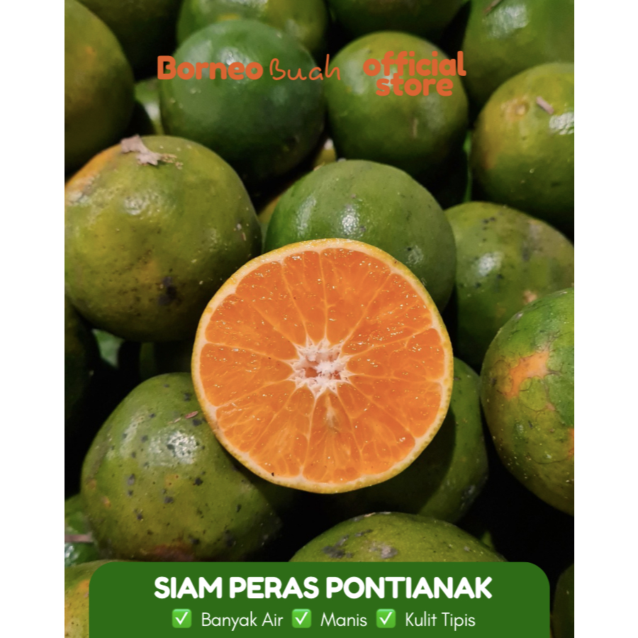 

Jeruk Pontianak - Siam Peras