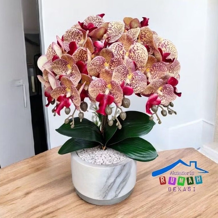 BUKET BUNGA ANGGREK LATEX 5 TANGKAI DENGAN POT KAYU MARMER
