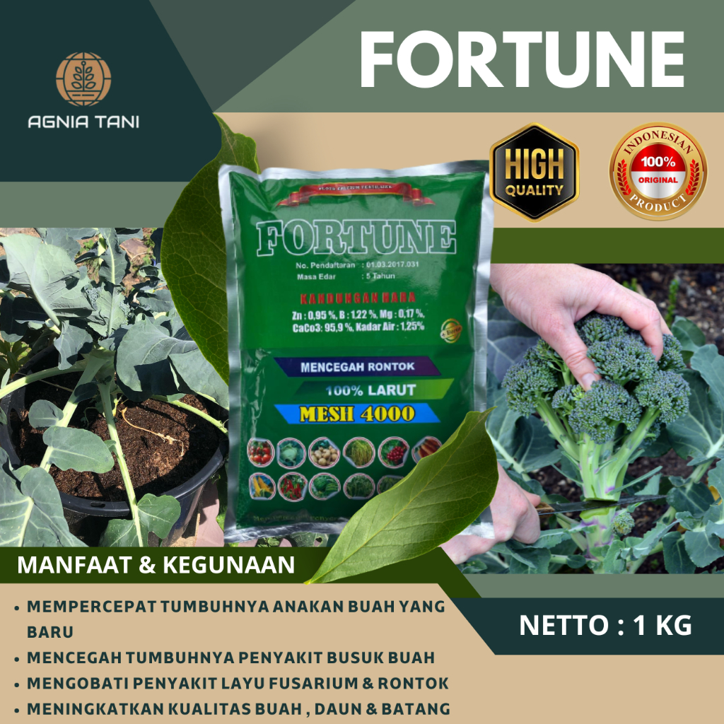 PUPUK KALSIUM BORON PLUS Zn FORTUNE MESH 4000 CEPAT LARUT 1 KG PENYUBUR TANAMAN BROKOLI TERBAIK UNTU