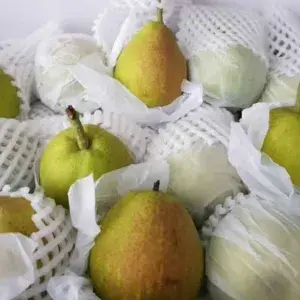 

PIR / PEAR XIANG LIE 500gram