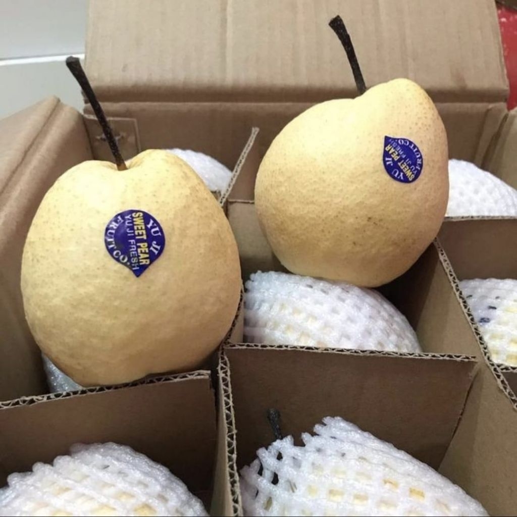 

Buah pear madu sweet manis 1 kg
