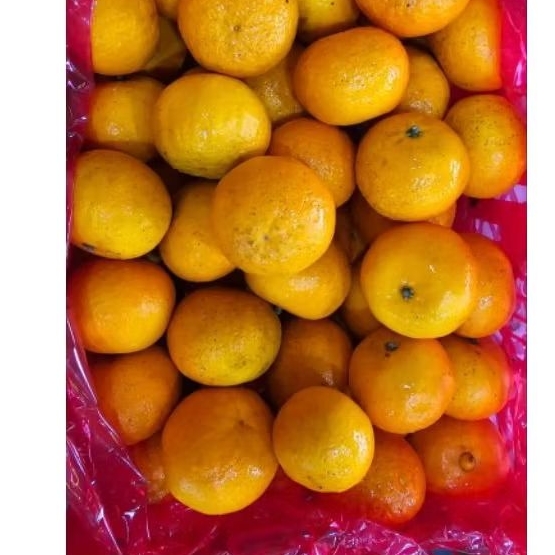 

JERUK WOGAM GUNDUL 1 KERANJANG 6kg