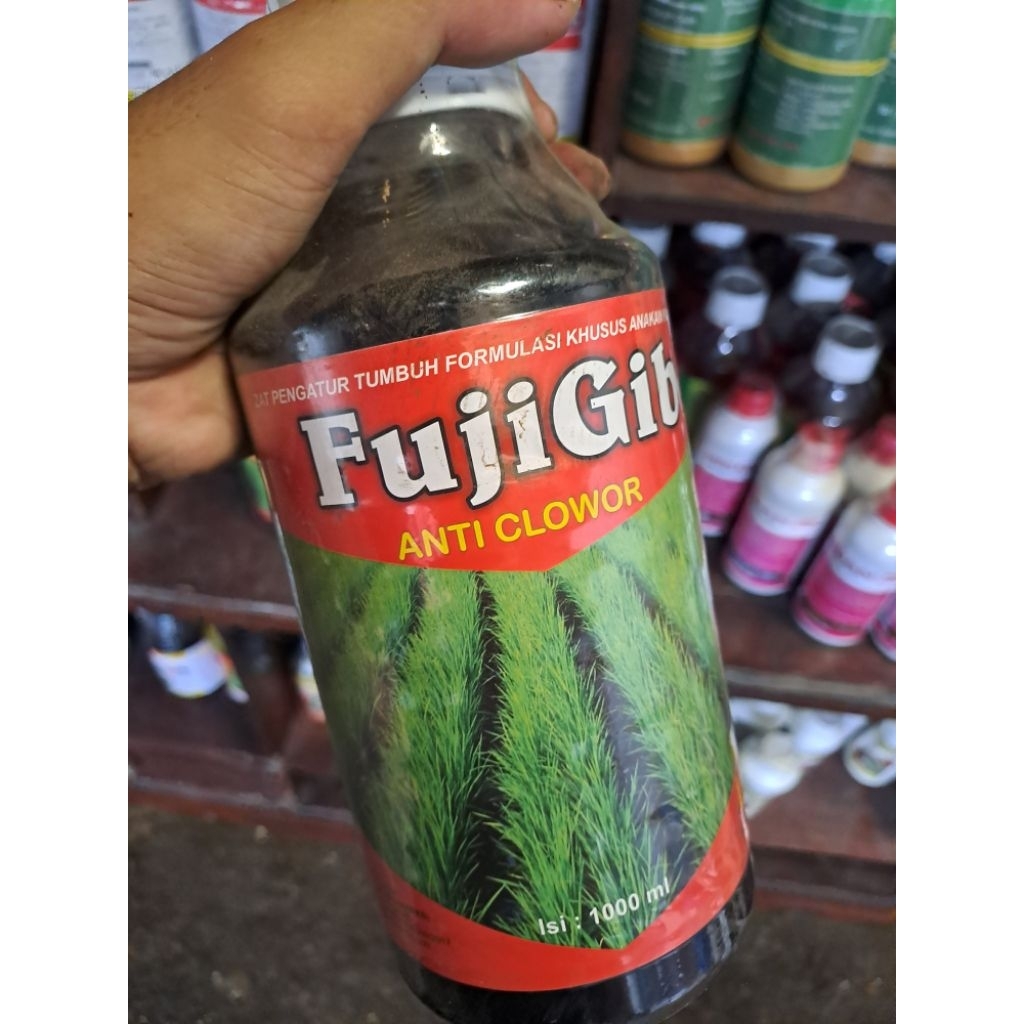 FUJIGIB ANTI CLOWOR 1L ZPT&PEREKAT