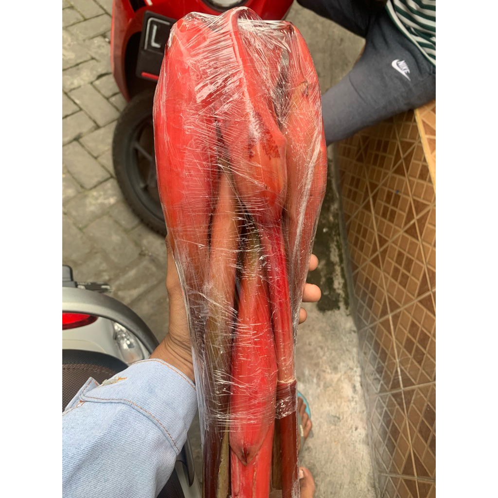 

Kecombrang Fresh Kg an