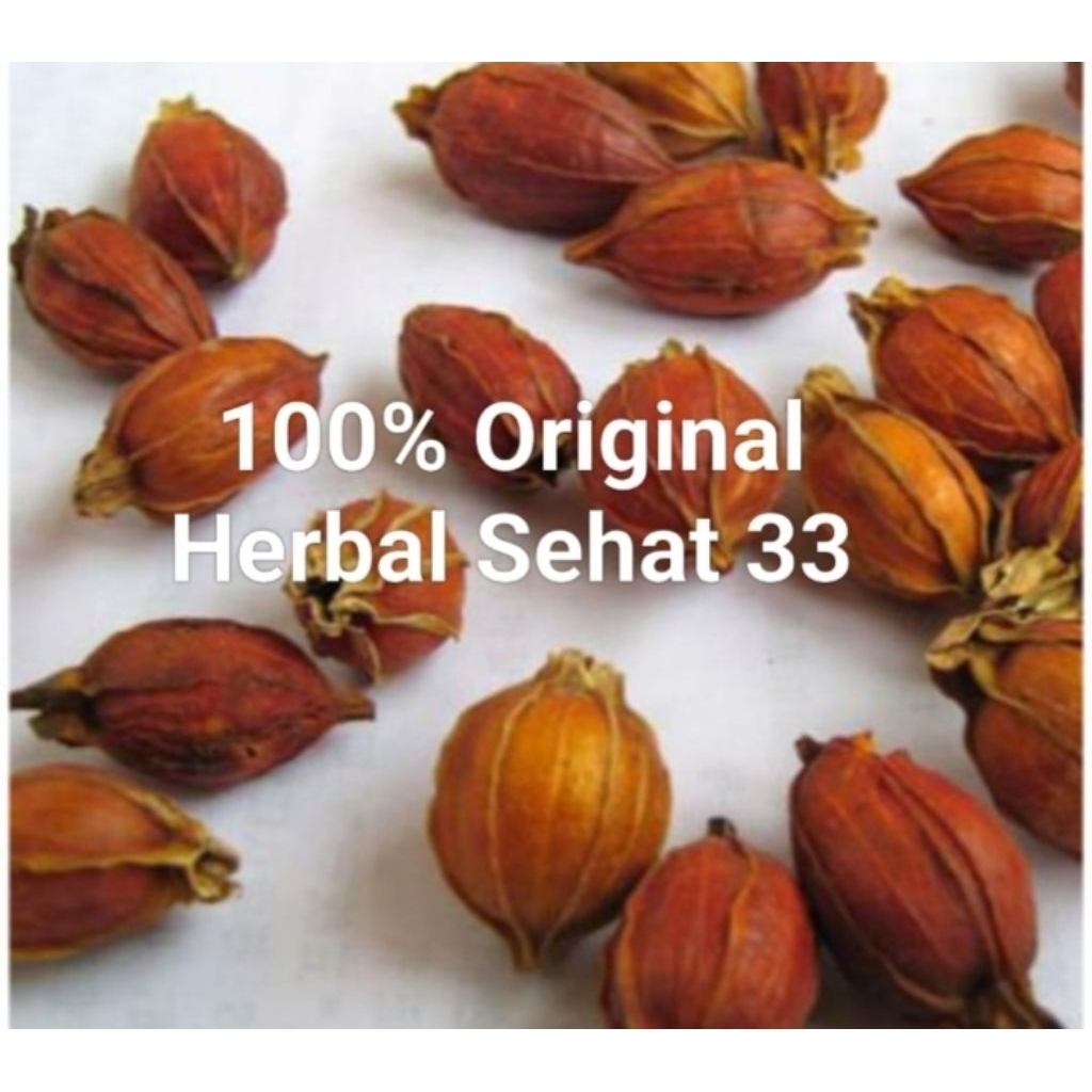 

50g shan Zhi zi fructus Gardenia cape Jasmine fruit