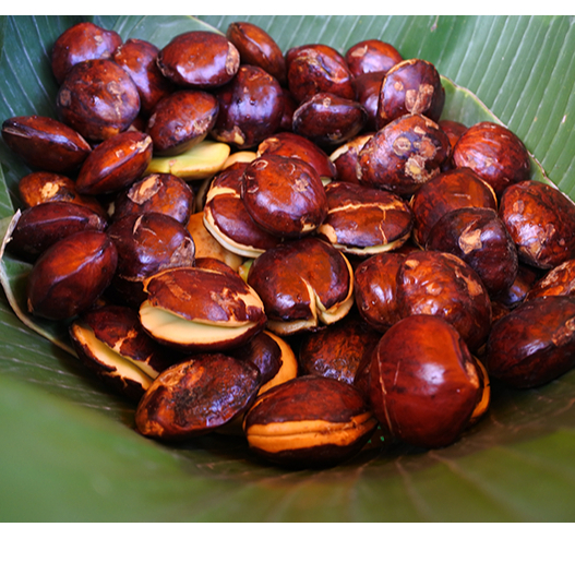 

JENGKOL MENTAL 1KG/JENGKOL MUDA 1KG SEGAR