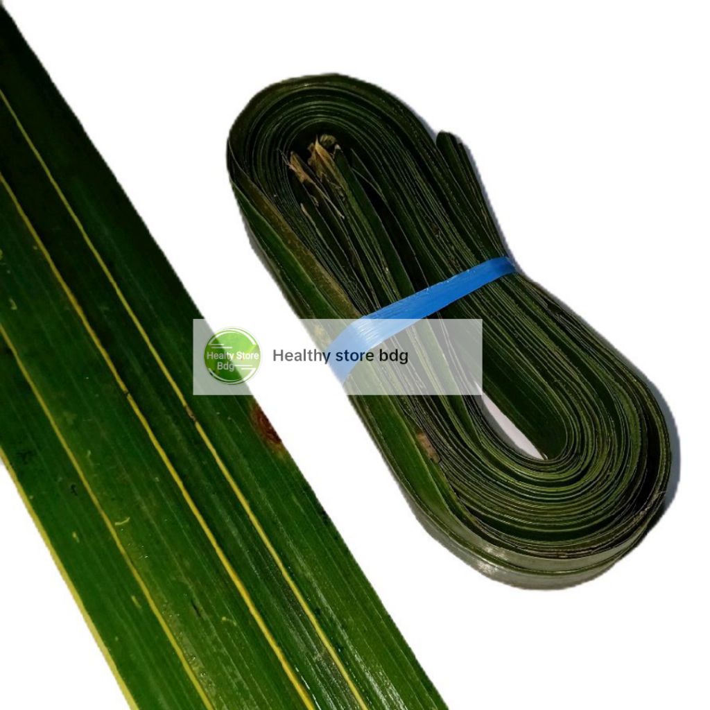 

Daun kelapa hijau segar Tanpa Lidi paket 50 Lembar