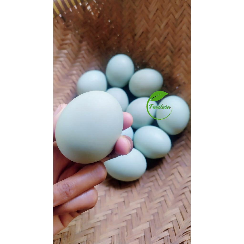 Telor bebek mentah tawar / Telur bebek mentah