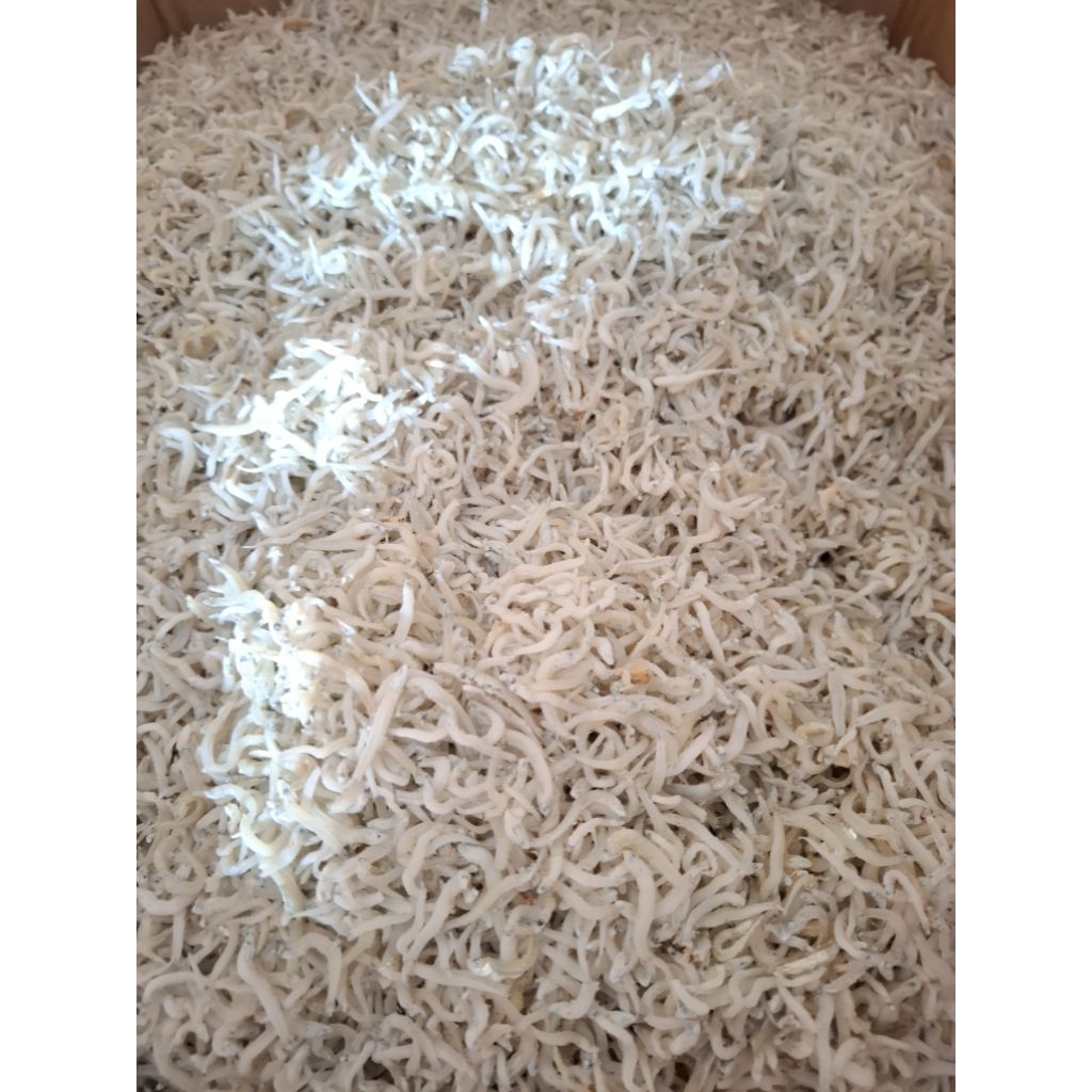 

Asin Teri Medan / Teri nasi Super