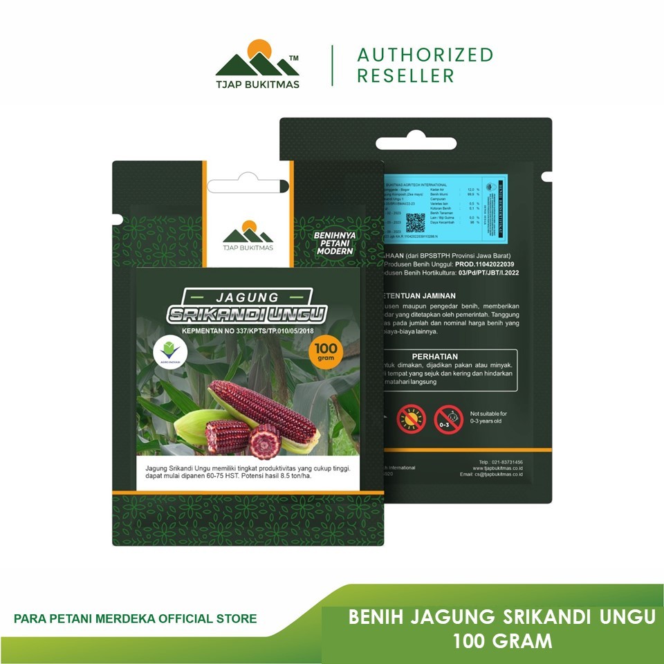 TJAP BUKITMAS Benih Jagung Ketan Pulut Ungu / Putih 100 Gram Varietas Srikandi Ungu / Pulut URI 1