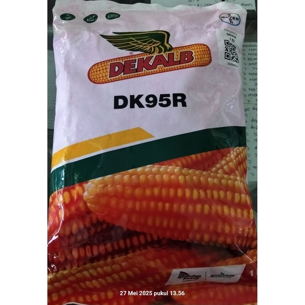 BENIH JAGUNG DK95R DK 95R 1 KG