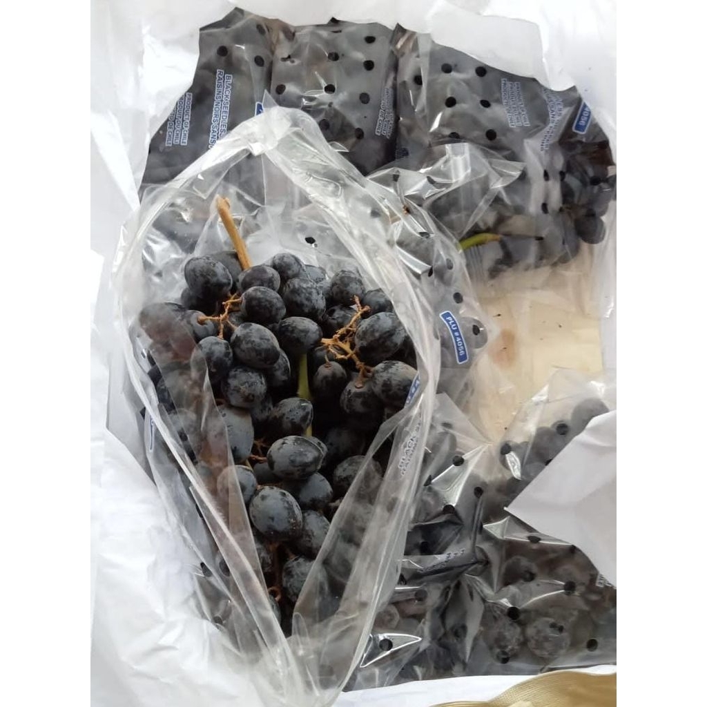 

Indukbuah Buah Anggur Black Autumn Manis Seedless 1 Keranjang
