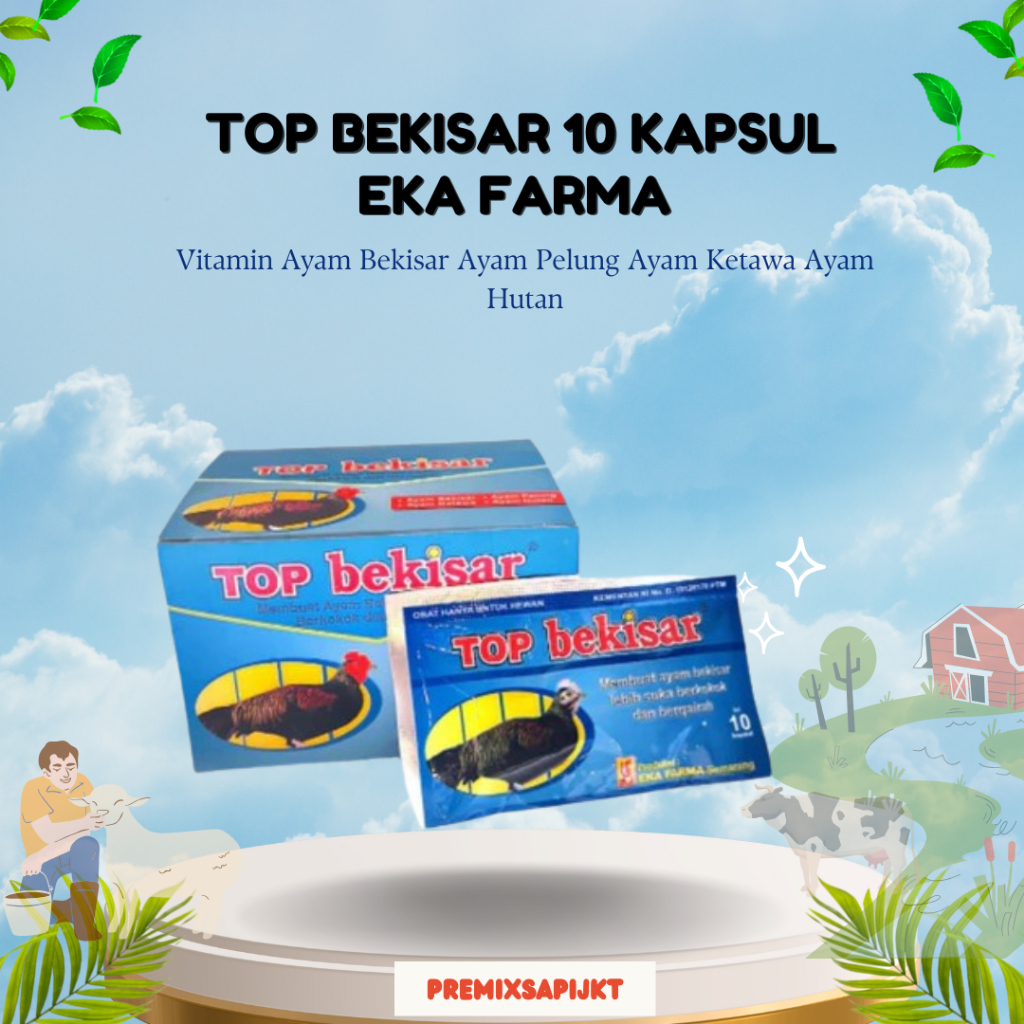 NEW TOP BEKISAR 10 KAPSUL EKA FARMA - Vitamin Ayam Bekisar Ayam Pelung Ayam Ketawa Ayam Hutan MURAH 