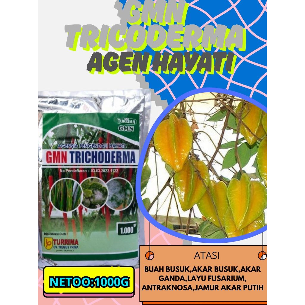 PROMO  Trichoderma Japonica, Trichoderma Kocor Isi 1kg