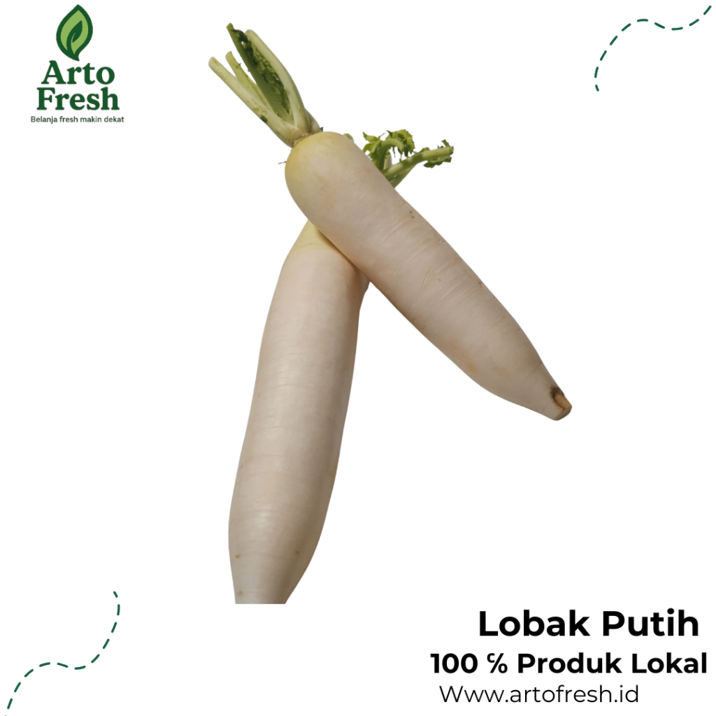 

Lobak Putih Segar Artofresh